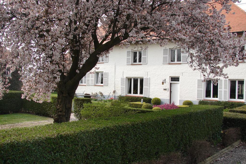 Holiday Home De Colve 브뤼헤 외부 사진